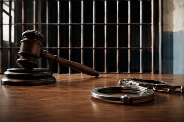 A IMPUNIDADE COMO POLÍTICA DE ESTADO: QUANDO O CRIME DEIXA DE TER MEDO DA LEI